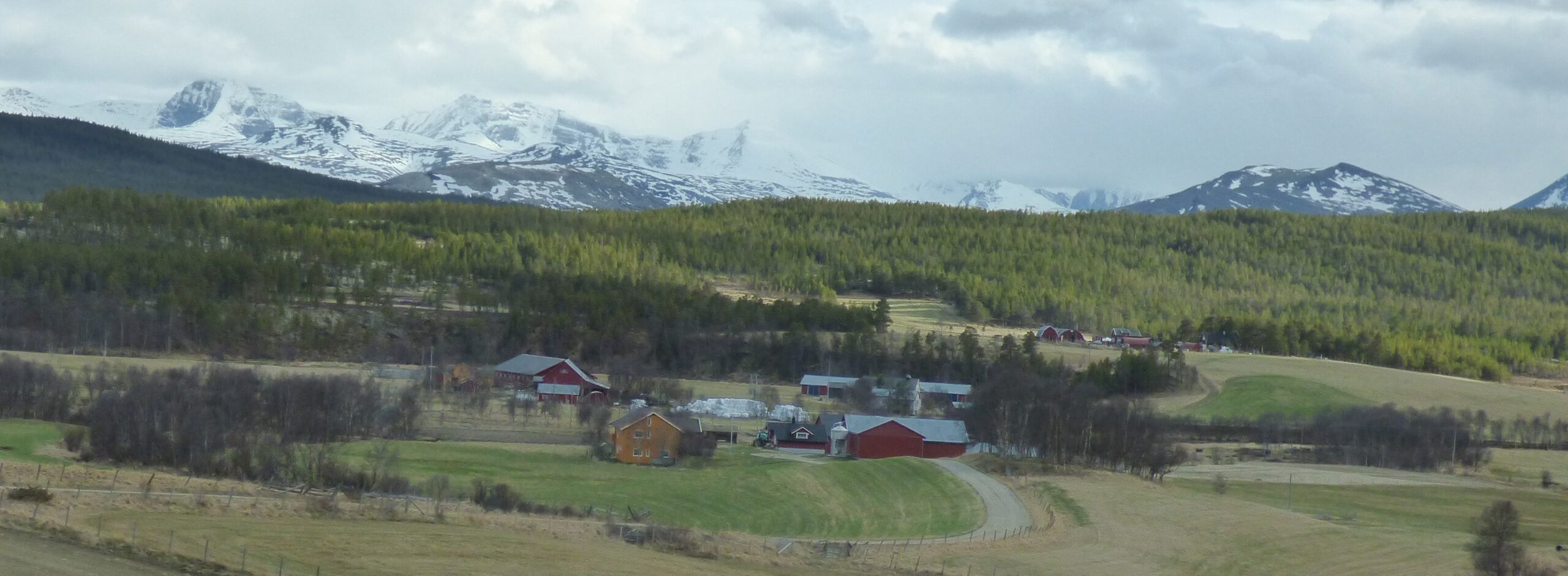 Nord Hedmark og Hedemarken Lag